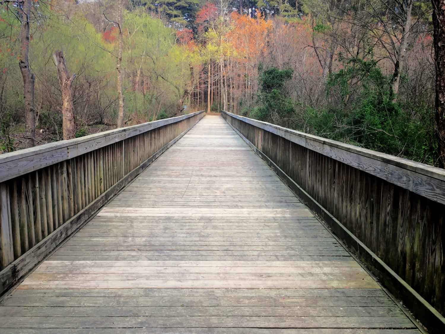 Discover the Top 10 Senior-Friendly Walking Trails in North Carolina