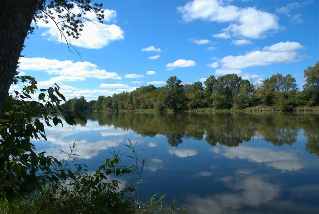 How Deep Is the Fox River in Wisconsin and Illinois?