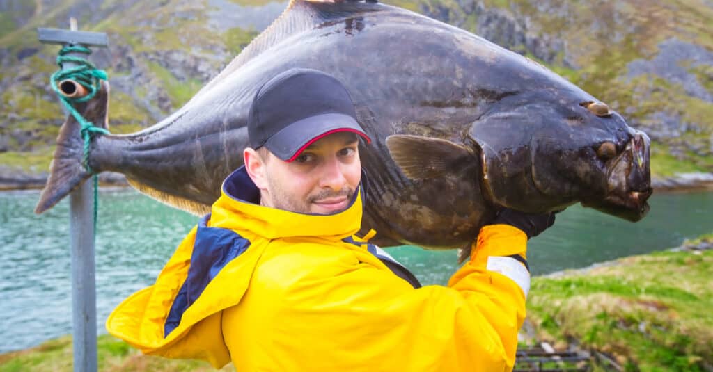 Discover the Largest Halibut Ever Caught in Canada