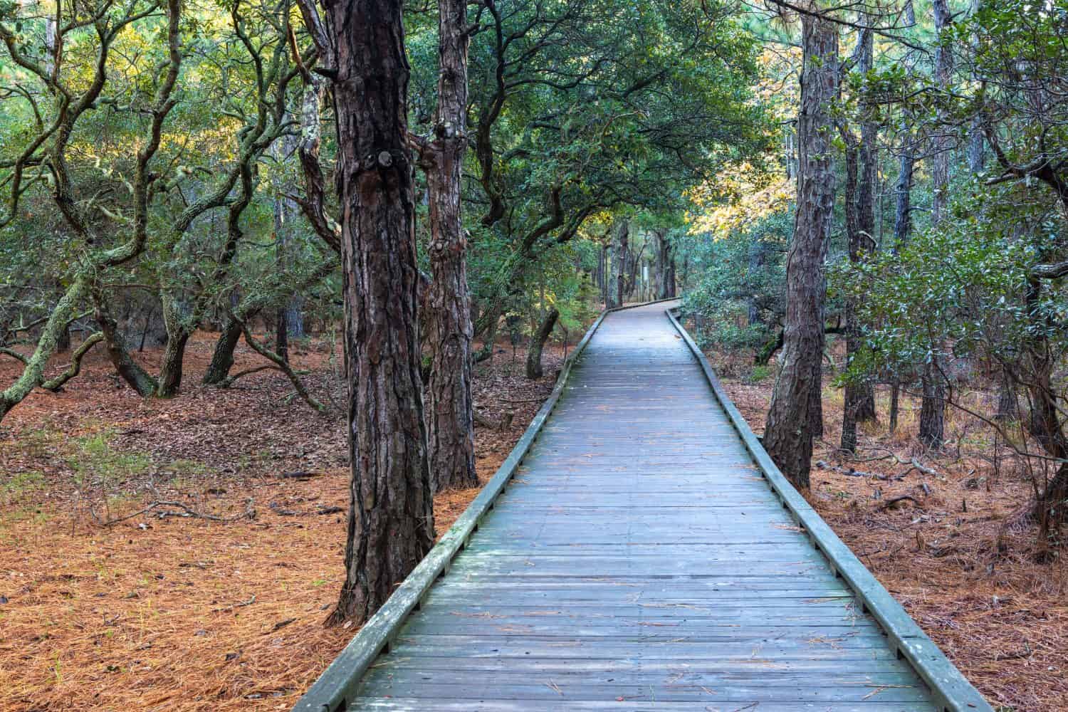 Discover the Top 10 Senior-Friendly Walking Trails in North Carolina