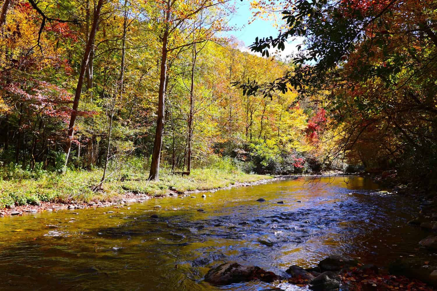 Discover the Top 10 Senior-Friendly Walking Trails in North Carolina