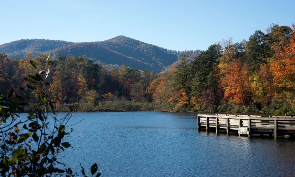 Discover the Top 10 Senior-Friendly Walking Trails in North Carolina