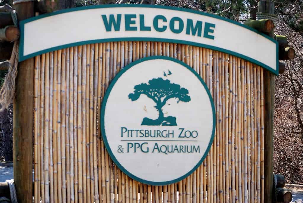 Pittsburgh Zoo & Aquarium: Ideal Time to Go   50  Amazing Animals to See