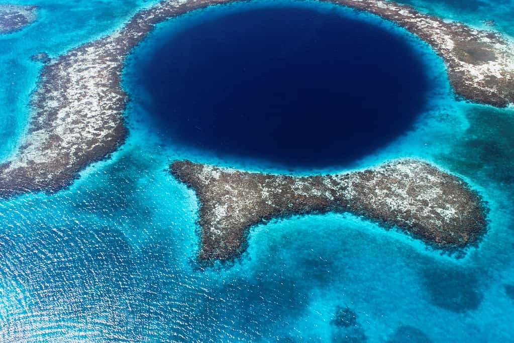 Explore the Mysteries of Belize's Great Blue Hole