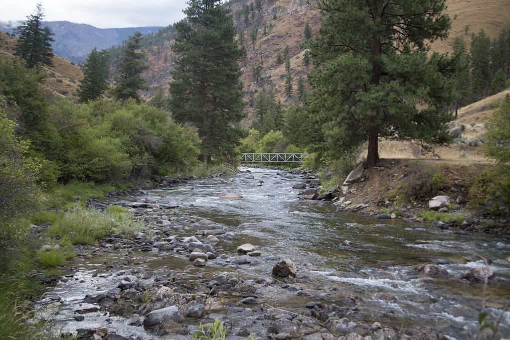 Hunting in Idaho: 10 Great Public Hunting Lands