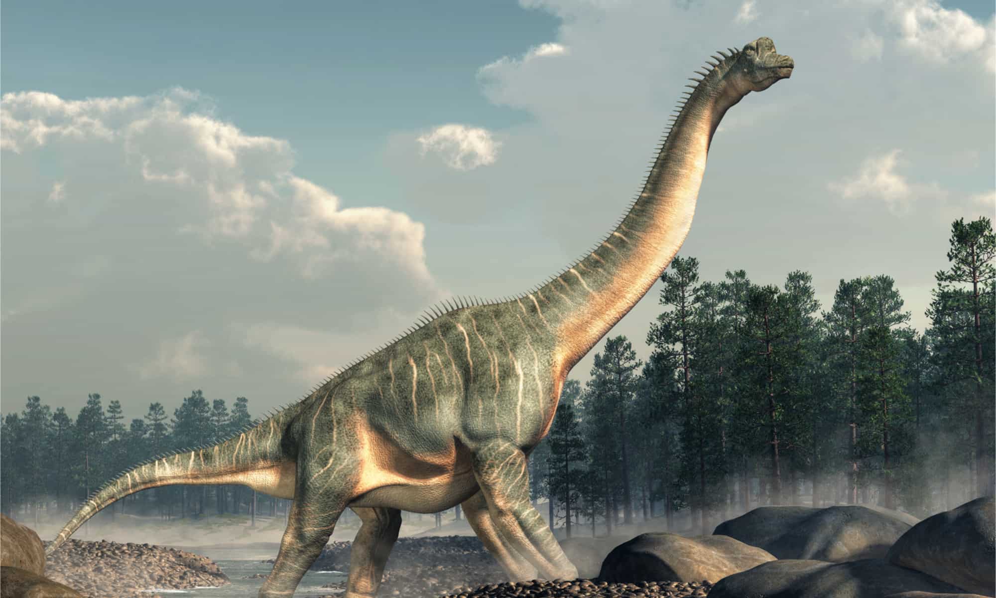 Discover the Biggest Brachiosaurus Ever Found 