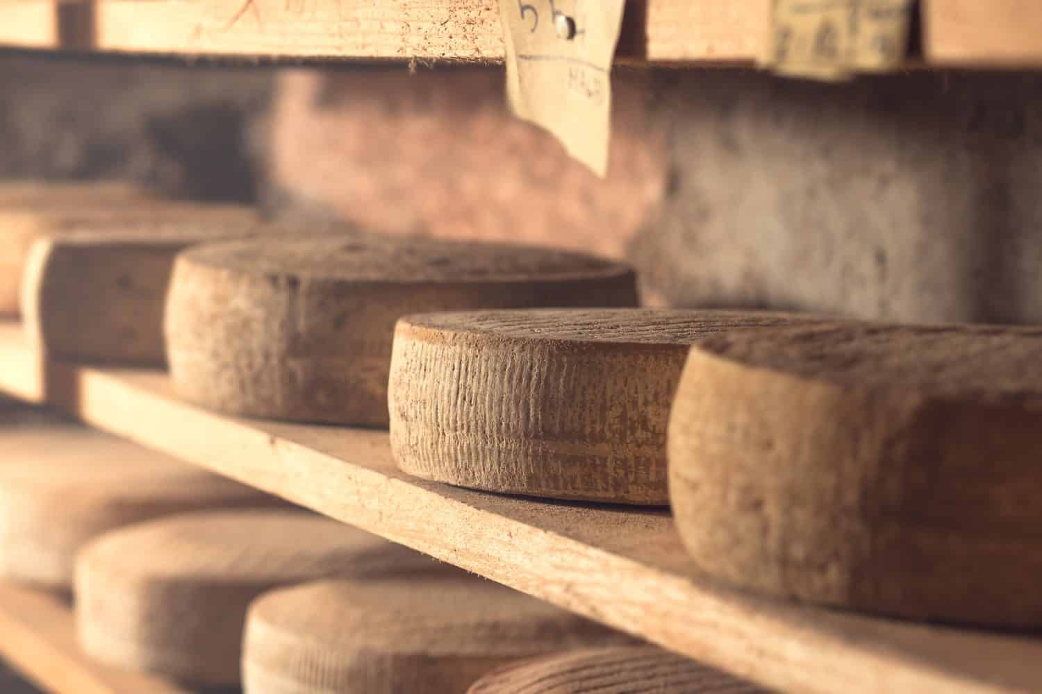 12 Amazing Cheeses That Start With T