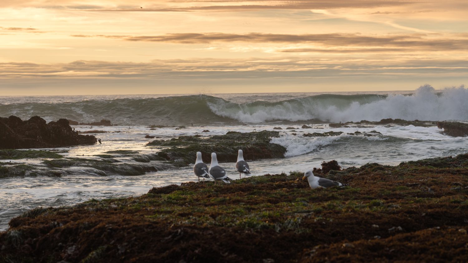 Discover the 7 Largest and Most Important Bays in California