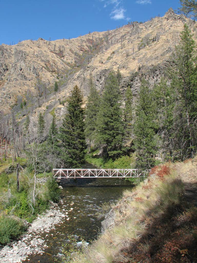 Hunting in Idaho: 10 Great Public Hunting Lands