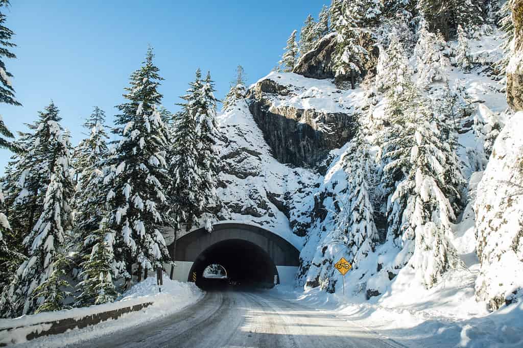 The Biggest November Snowstorm in Washington State History Dumped an Absurd Amount of Snow