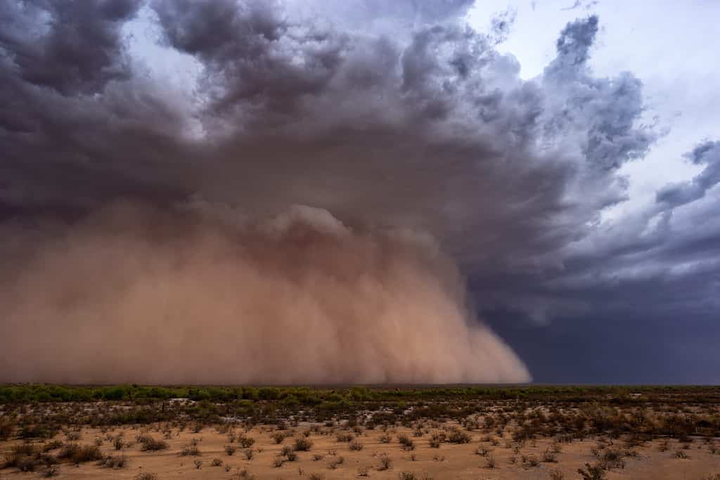 Video Captures What It Feels Like to Drive Through a Massive Arizona Sandstorm