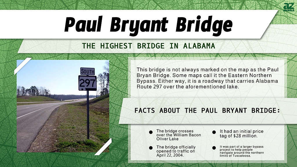 Discover the 8 Longest Bridges in Alabama