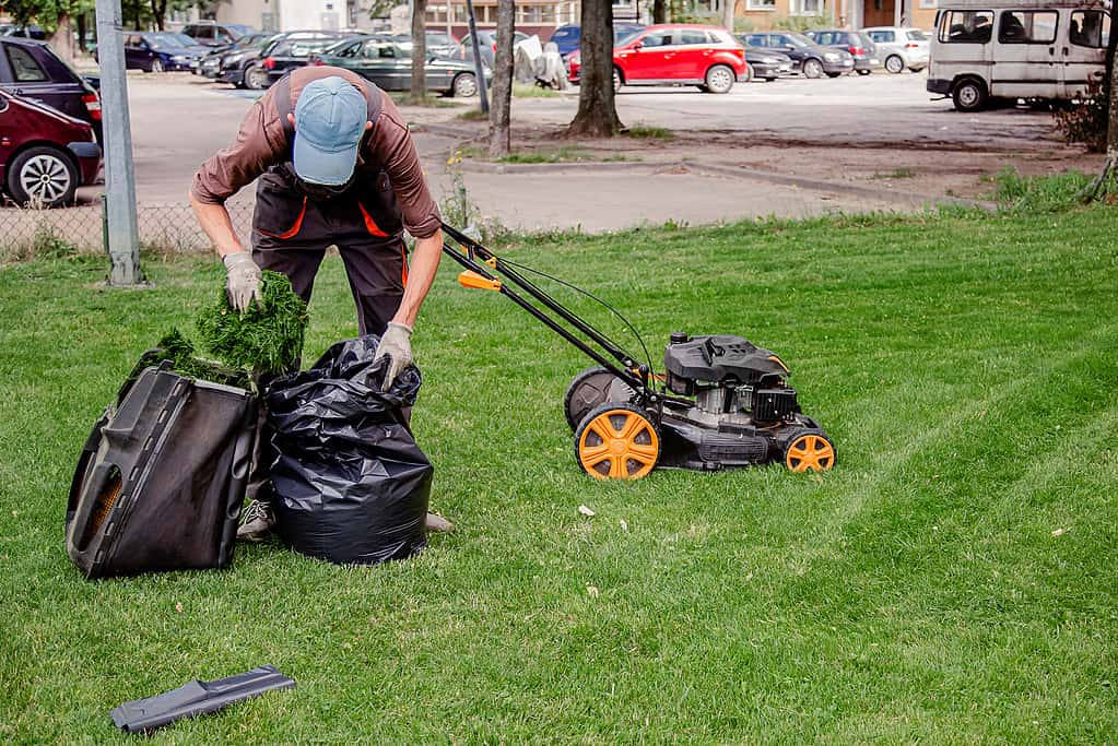 6 Reasons You Should Never Cut Your Lawn Too Low Before Winter