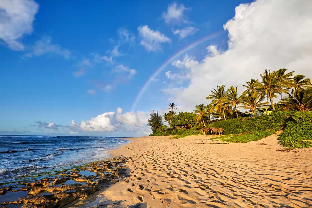 The 10 Best Hawaii Beaches for a Romantic Couple Getaway