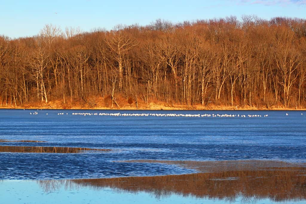 The 5 Best Lakes in Illinois That Have Sandy Beaches