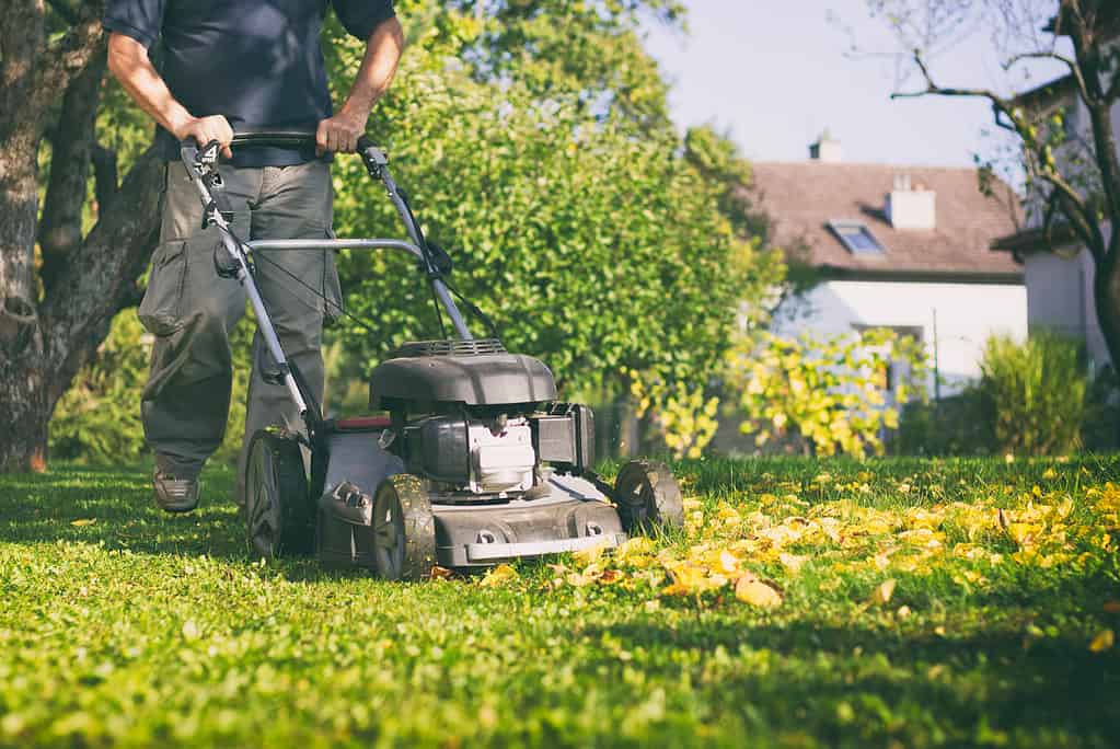 6 Reasons You Should Never Cut Your Lawn Too Low Before Winter