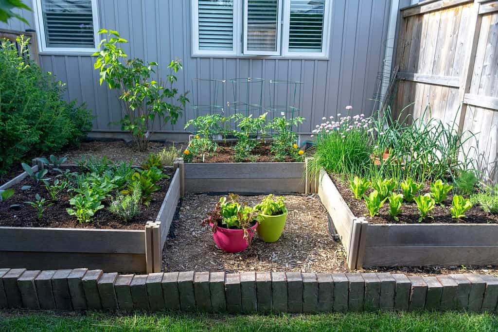 Square Foot Gardening Method: The Ultimate Way to Make Use of Limited Space