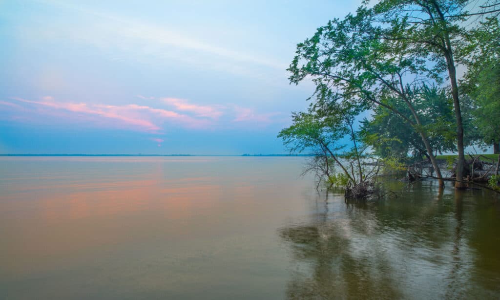 The 5 Best Lakes in Illinois That Have Sandy Beaches