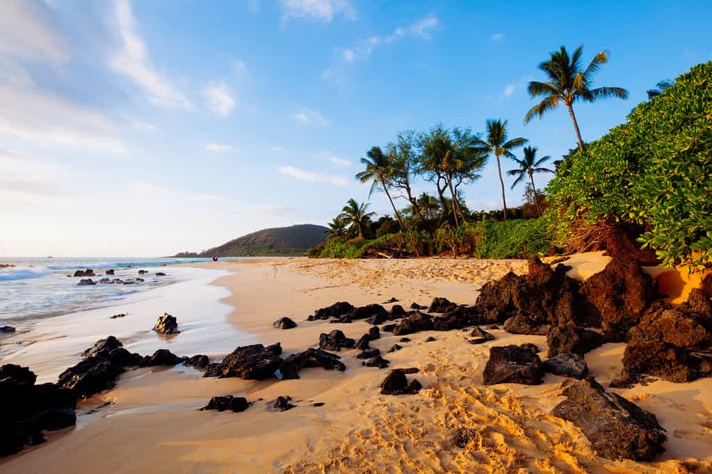 The 10 Best Hawaii Beaches for a Romantic Couple Getaway