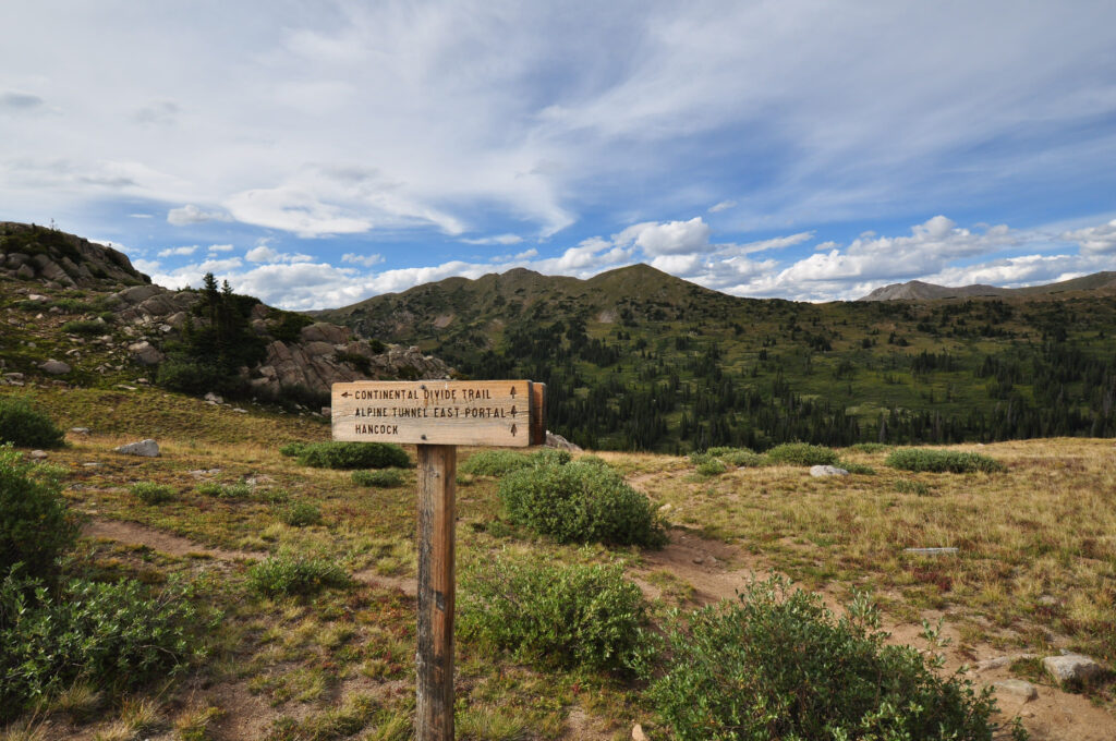 13 Incredible Birds You'll See Along the Continental Divide Trail - A-Z Animals