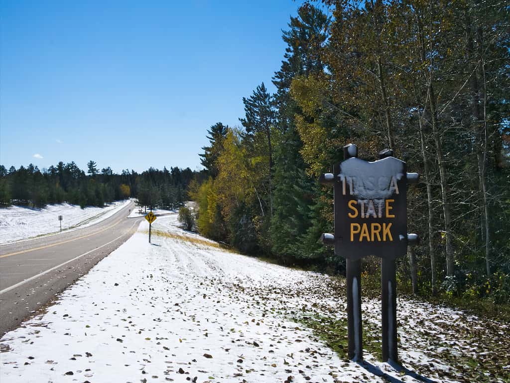 The Biggest Snowstorm to Ever Dump on Minnesota in the Month of November - A-Z Animals