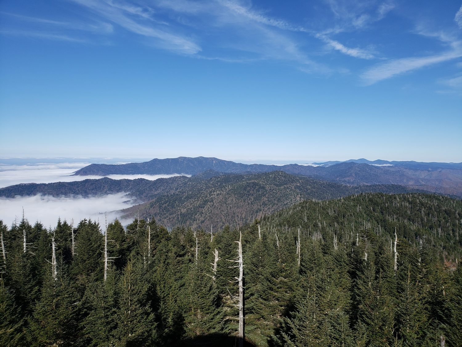 How Tall Is Tennessee's Mount LeConte? - A-Z Animals