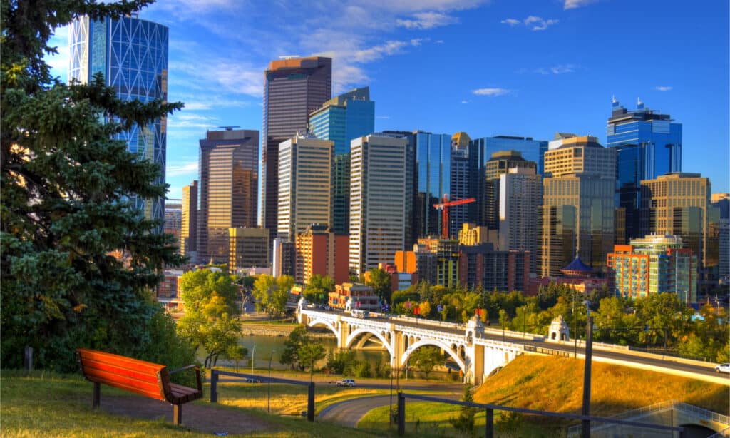 The Largest City in Alberta Now And in 2050 - A-Z Animals