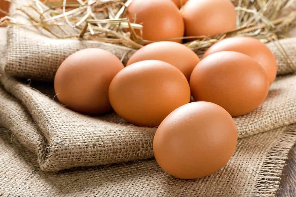 4 Reasons Eggs Are So Expensive in California - A-Z Animals