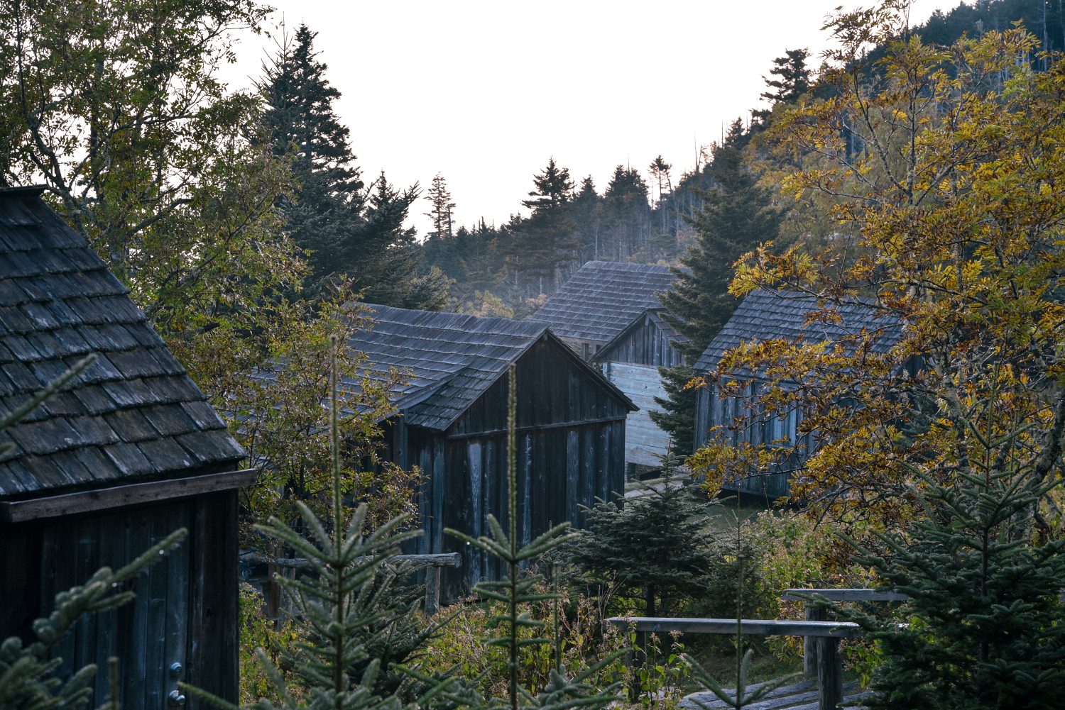 How Tall Is Tennessee's Mount LeConte? - A-Z Animals