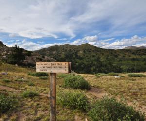 13 Incredible Birds You'll See Along the Continental Divide Trail - A-Z Animals