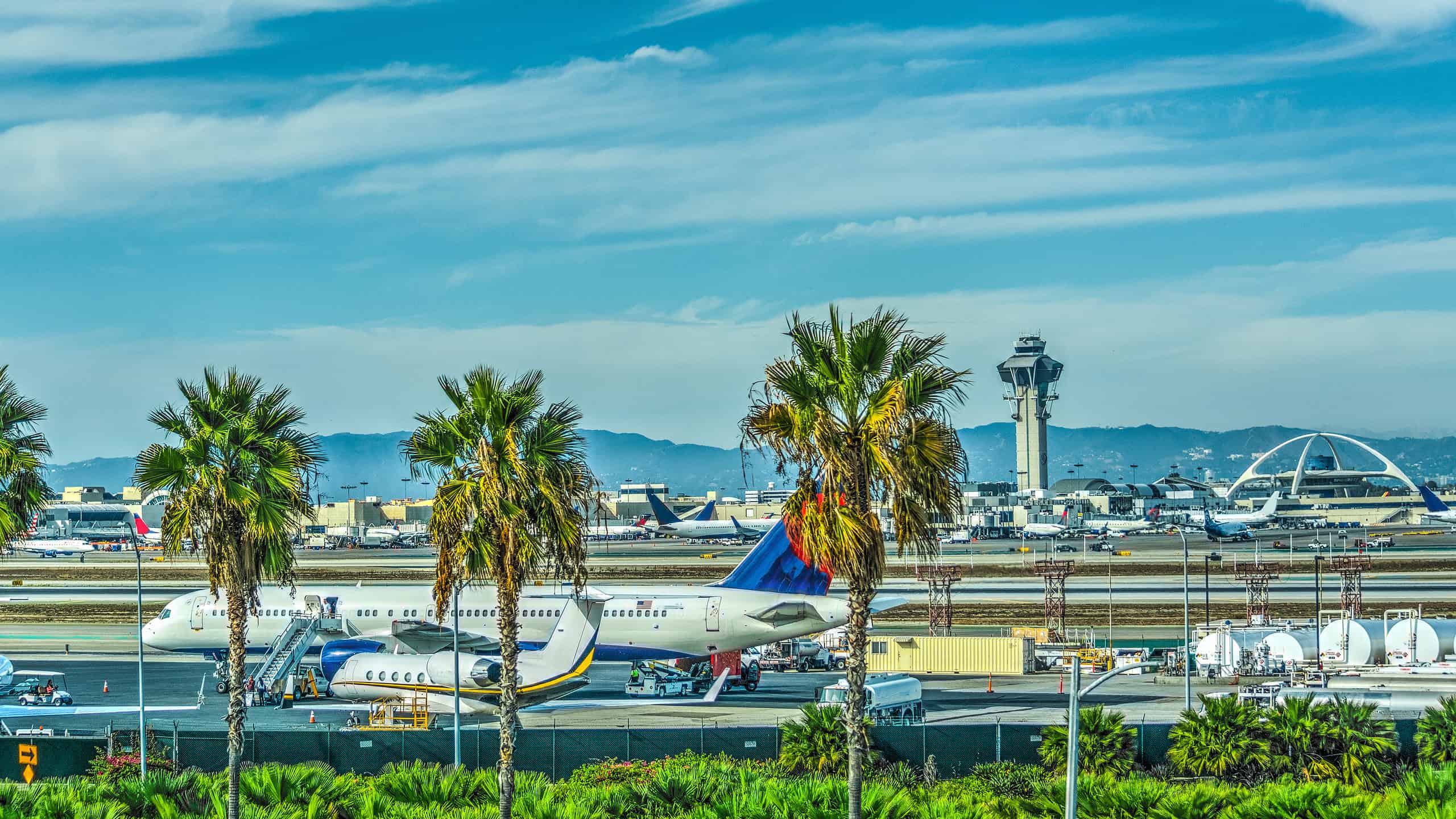 10 Most Insanely Busy Airports During Thanksgiving - A-Z Animals