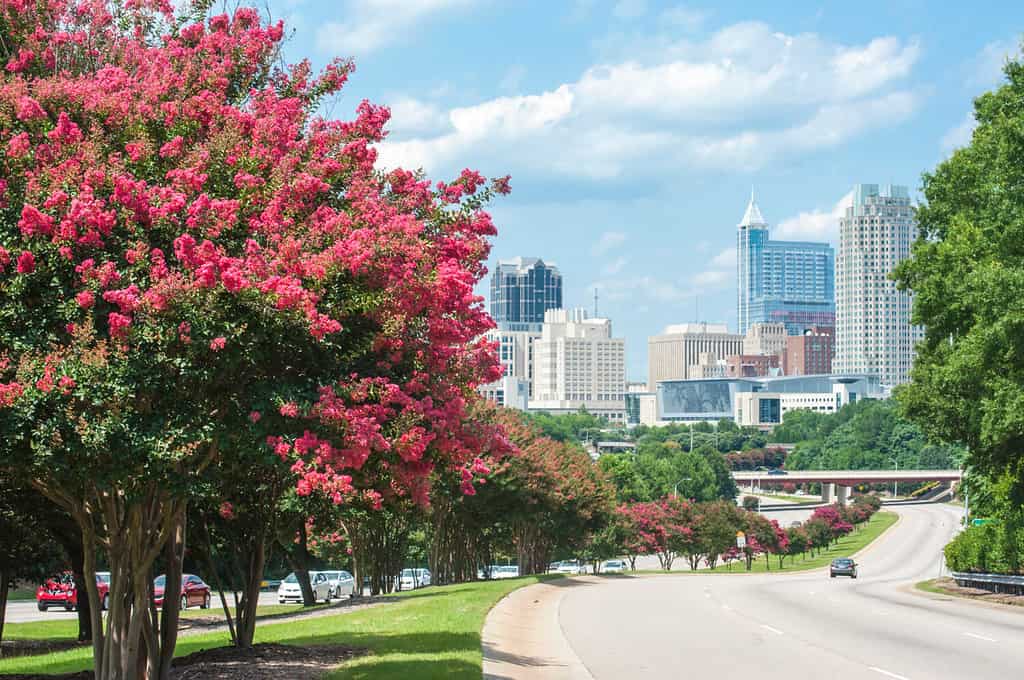 The 10 Busiest Airports in North Carolina, Ranked - A-Z Animals