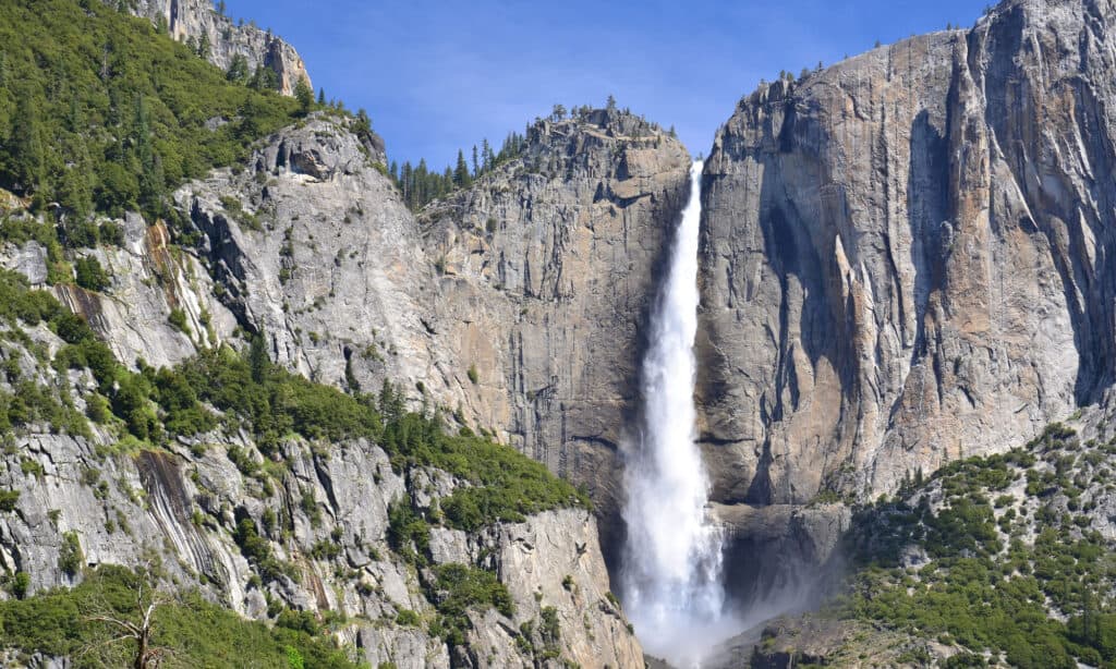 12 Yosemite National Park Facts That Will Blow Your Mind - A-Z Animals