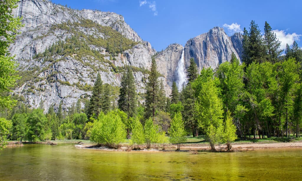 12 Yosemite National Park Facts That Will Blow Your Mind - A-Z Animals