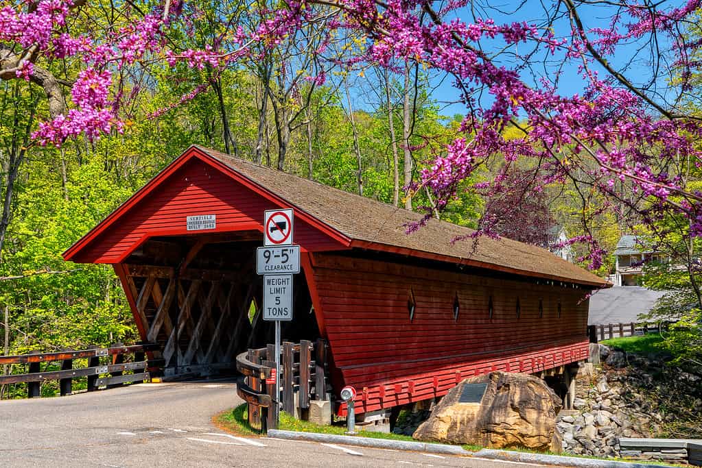 These 10 Covered Bridges in New York will Transport You Back in Time - A-Z Animals