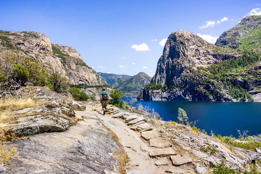 12 Yosemite National Park Facts That Will Blow Your Mind - A-Z Animals