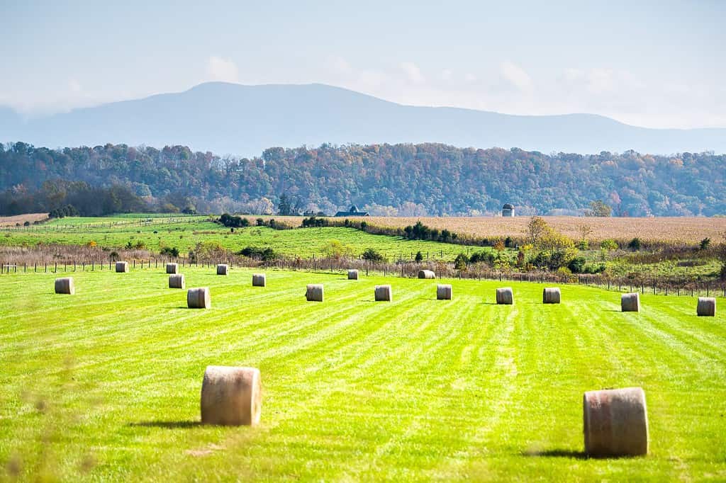 The 27 Most Unique Places in Virginia That Should Be On Your Must-Visit List - A-Z Animals