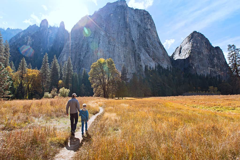 12 Yosemite National Park Facts That Will Blow Your Mind - A-Z Animals