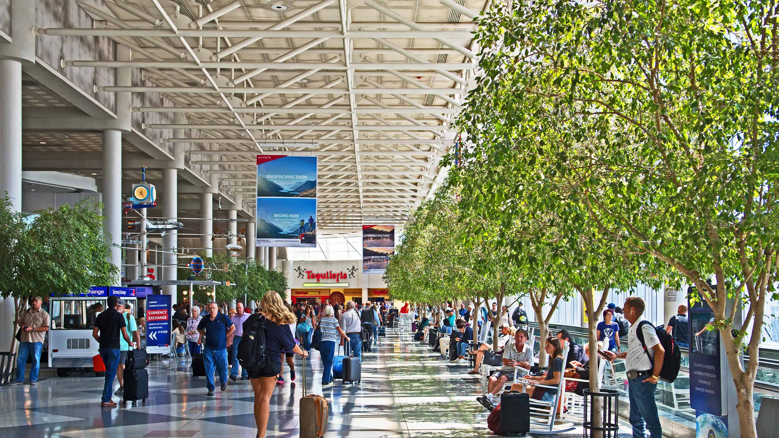 10 Most Insanely Busy Airports During Thanksgiving - A-Z Animals