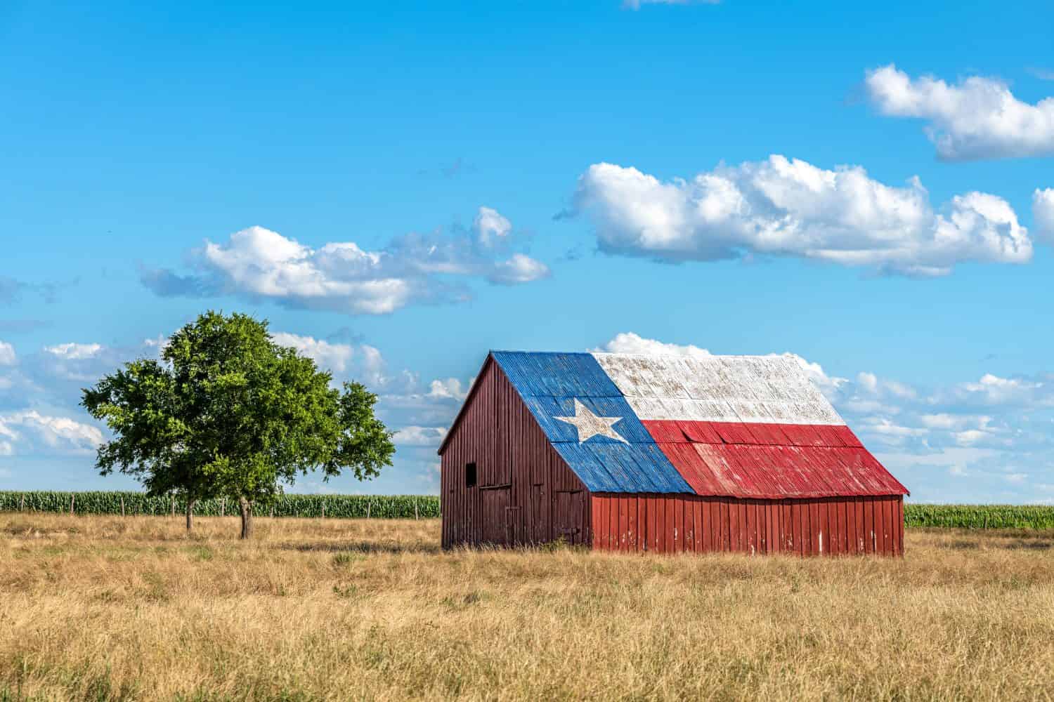 These 10 States Have the Best January Weather