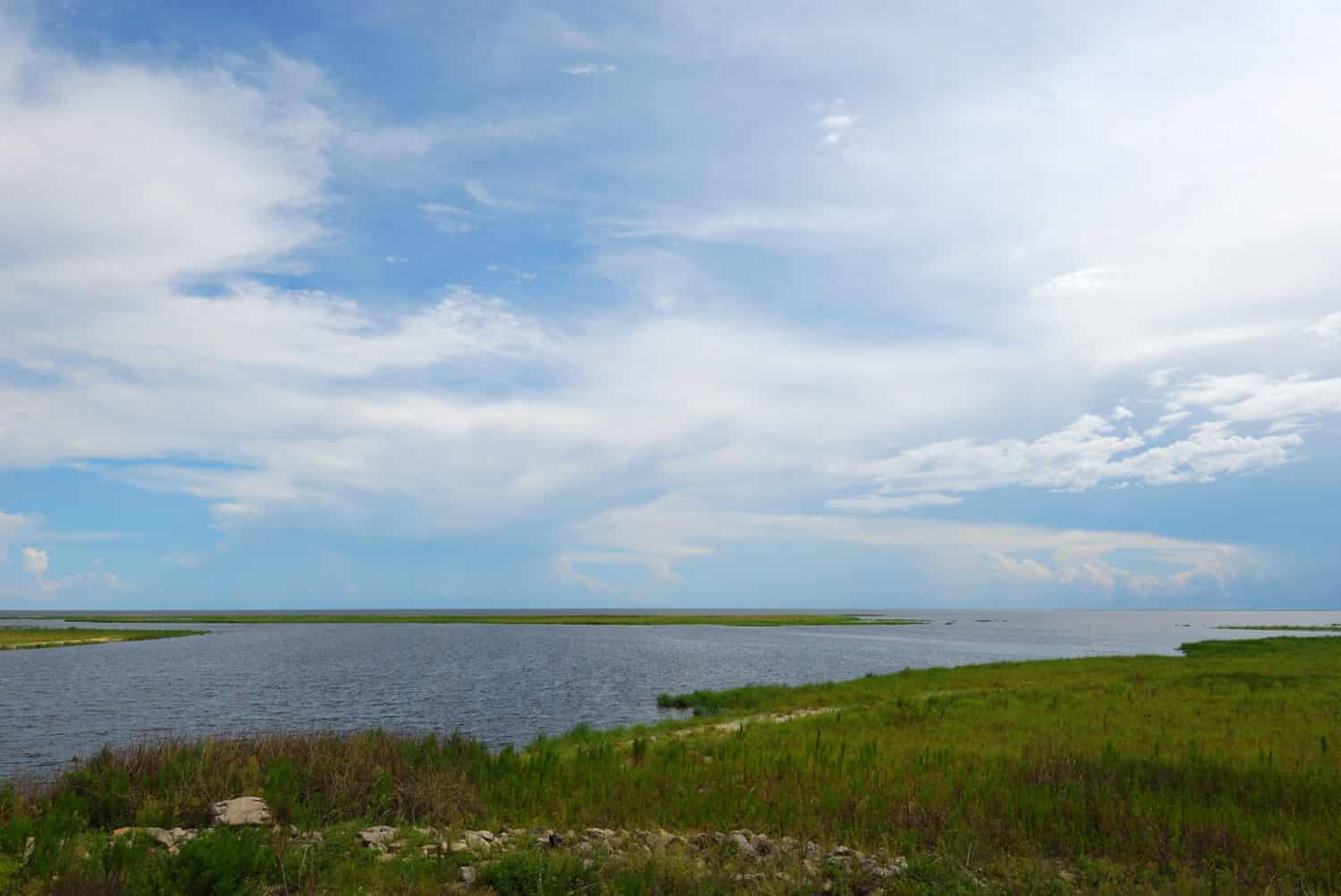 Discover The 4 Largest Alligators Ever Found in the United States