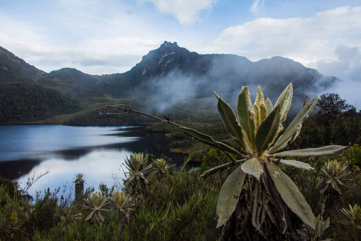 21 Mind-Blowing Facts About the Andes Mountains