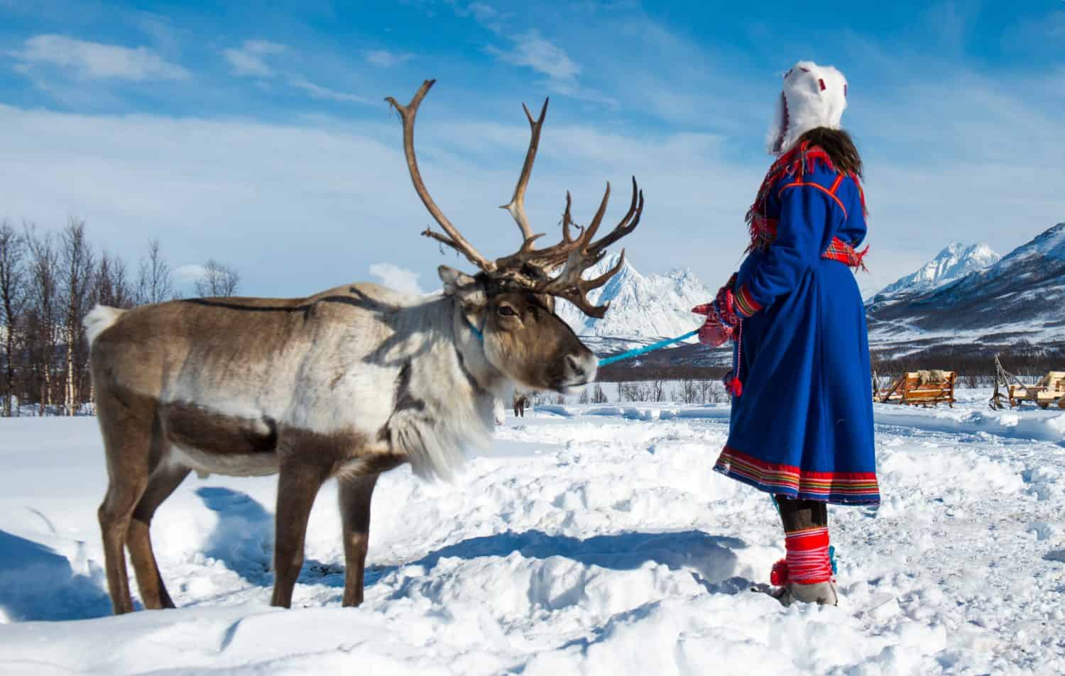 A Guide to the Sami of the Arctic Circle: Location, Population, and More