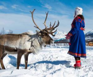 A Guide to the Sami of the Arctic Circle: Location, Population, and More