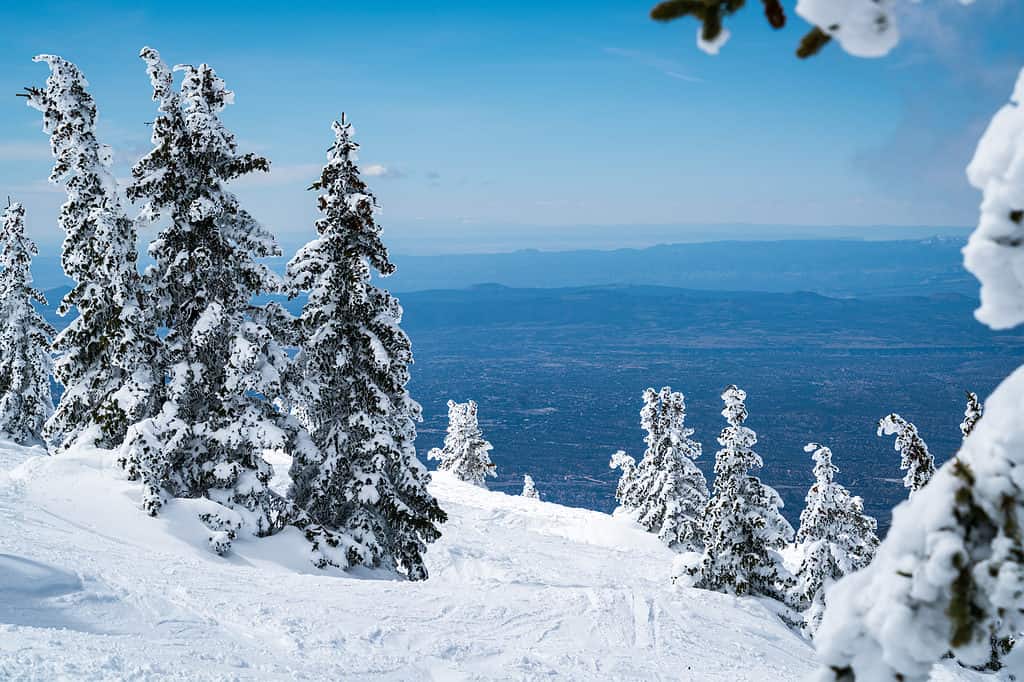 Does It Snow in New Mexico? Snowiest Places and Averages