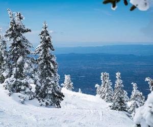 Does It Snow in New Mexico? Snowiest Places and Averages