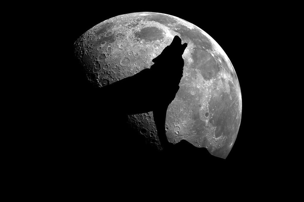 January Full Moon: Discover the Origin and Meaning of the Wolf Moon