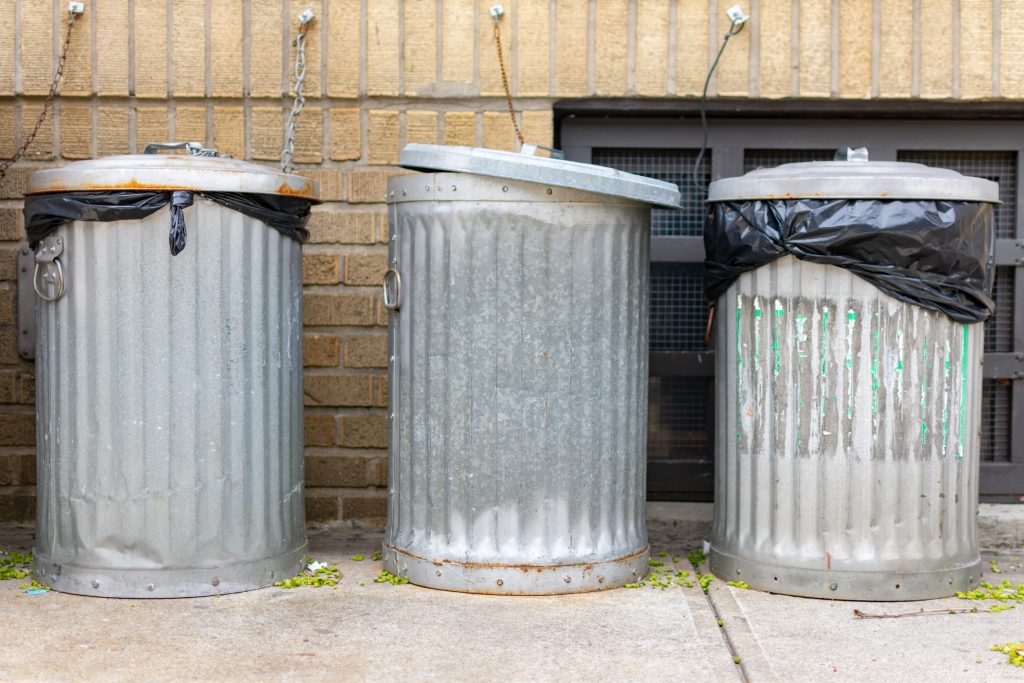 Does Baking Soda Kill Maggots? 3 Important Things to Know Before Using It