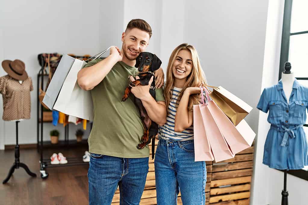 Are Dogs Allowed in Kohl's? 3 Important Rules to Know