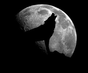 January Full Moon: Discover the Origin and Meaning of the Wolf Moon